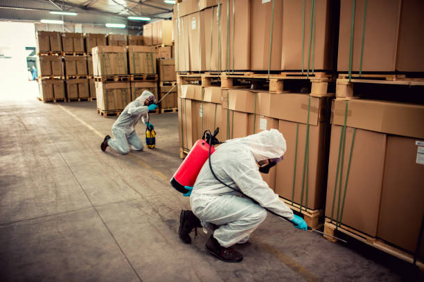 Best Cockroach Control Services  in Miami, FL