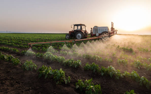 Best Mosquito Control Services  in Miami, FL