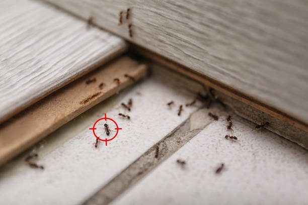 Miami, FL Pest Control Company