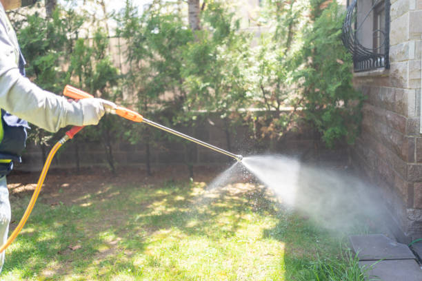 Best Pest Prevention Services  in Miami, FL
