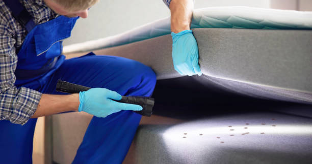 Best Flea Control Services  in Miami, FL