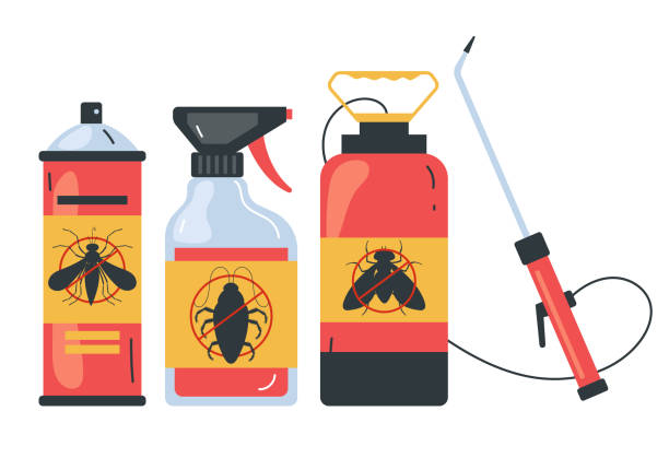 Best Local Pest Control Services  in Miami, FL