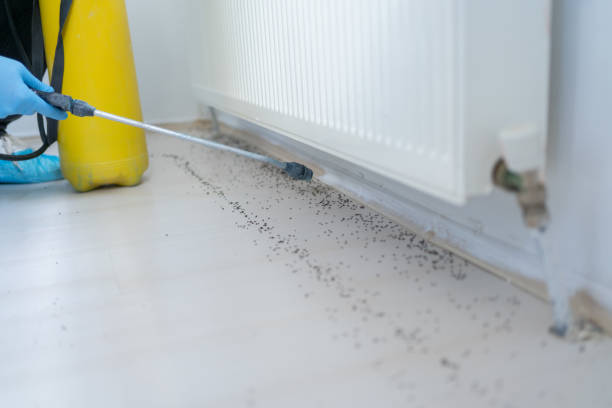 Best Best Pest Control Companies  in Miami, FL